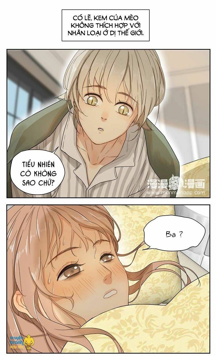 Cứu Mạng! Loài Mèo Thống Trị Thế Giới Rồi!: Chapter 14