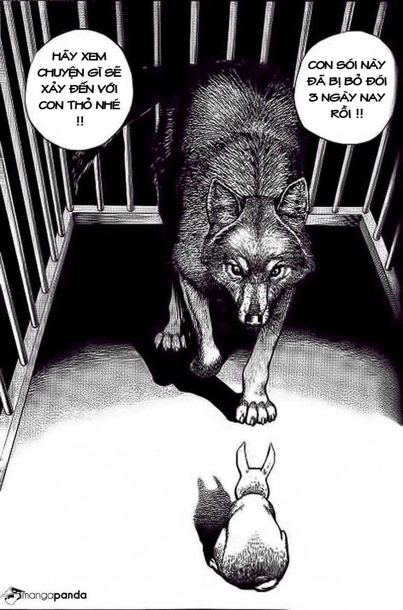 Tough - Miyazawa Kiichi: Chapter 234