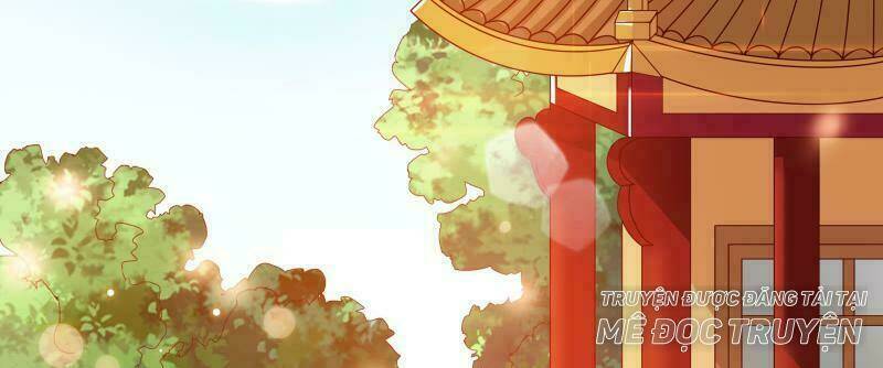 Liêu Cung Phong Hoa: Chapter 8