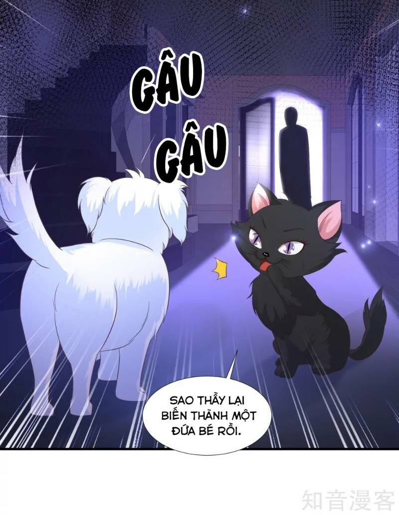 Tối Cường Vận Đào Hoa: Chapter 77