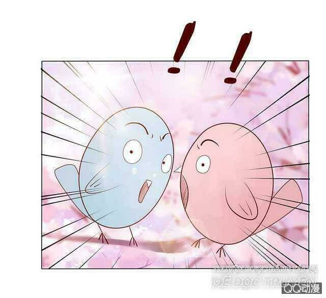 Băng Sơn Học Trưởng Không Được Chọc: Chapter 40.1