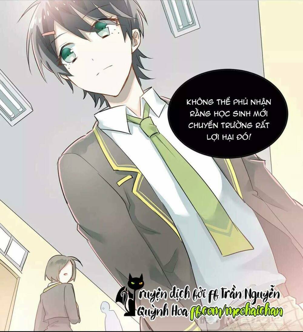 Đầu Gấu Biết Yêu: Chapter 8