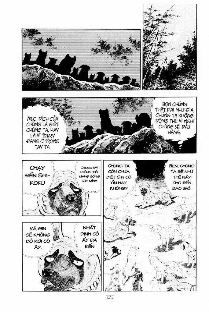 Chú Chó Có Nghĩa - Ginga Nagareboshi Gin: Chapter 30.2