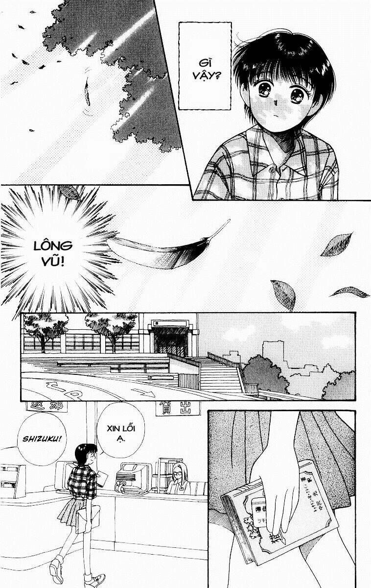 Lời Thì Thầm Từ Trái Tim: Chapter 5