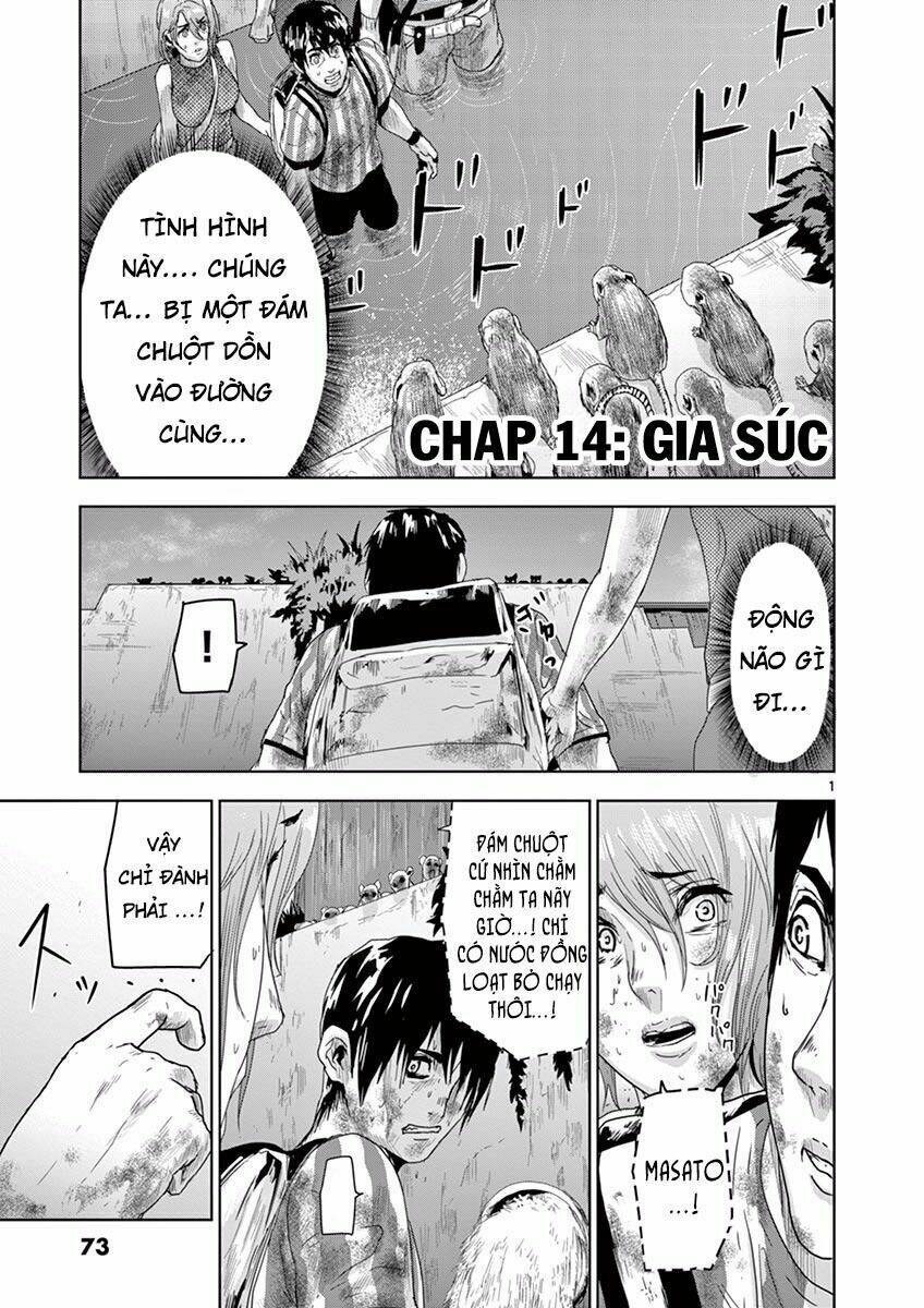 Bầy Thú Mặt Người: Chapter 14