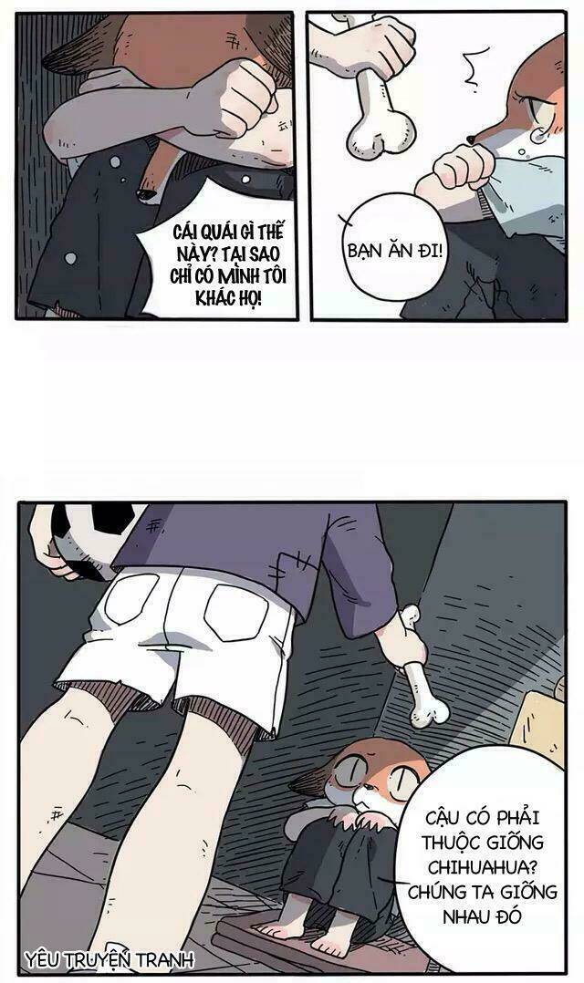 Bạn Trai Tôi Là Cáo Cam: Chapter 1