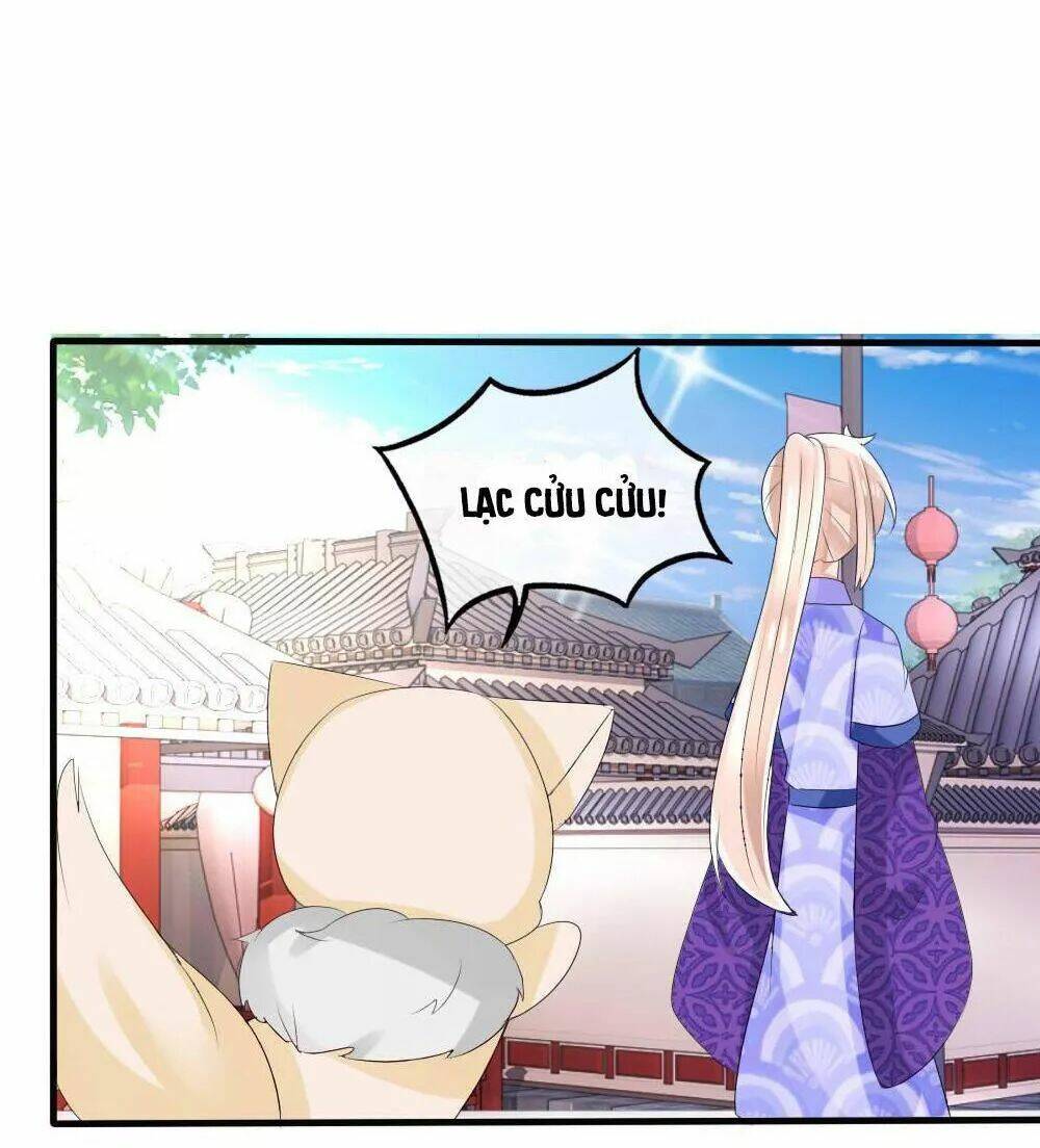 Kế Hoạch Sủng Ái Của Tiểu Công Chúa: Chapter 41