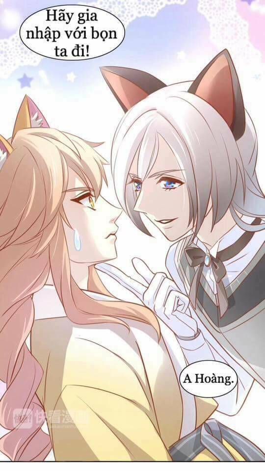 Dưới Móng Vuốt Mèo: Chapter 8