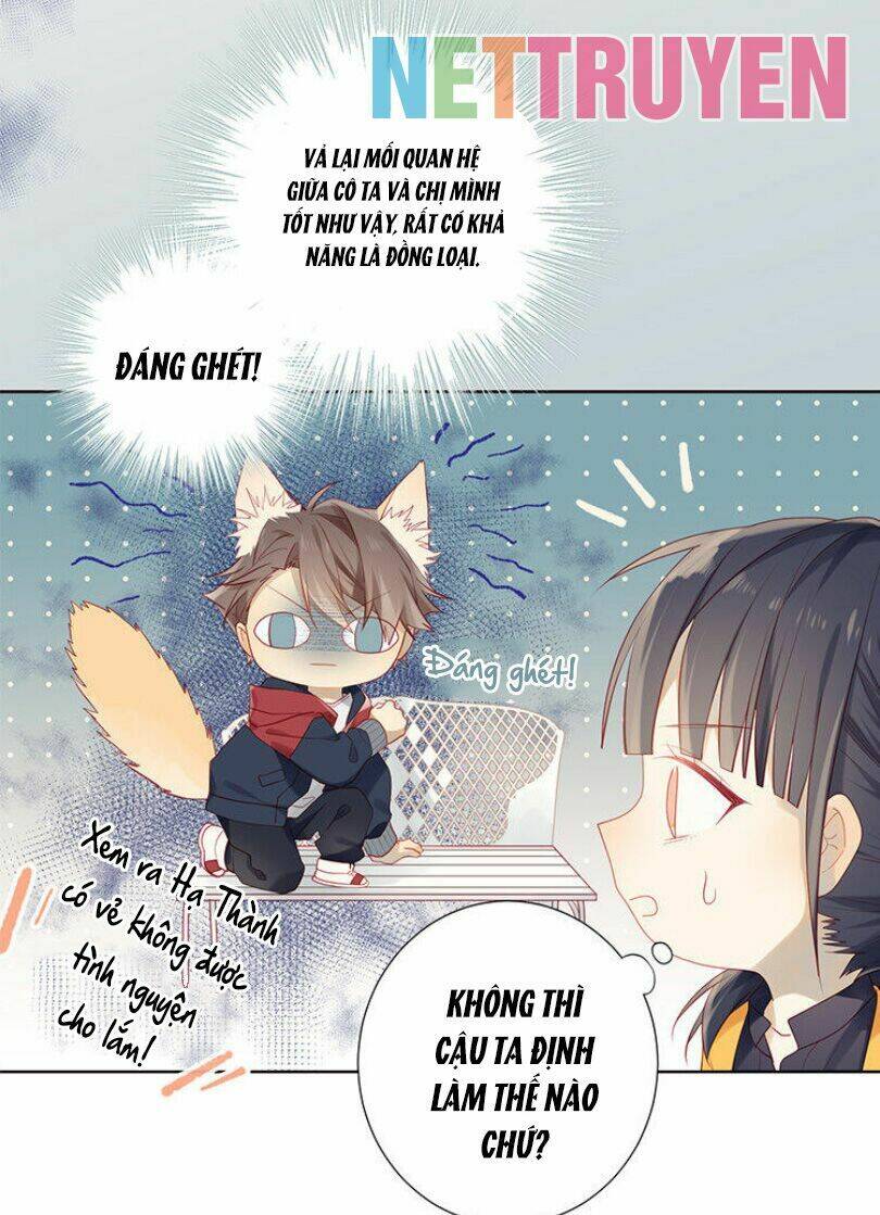 Lời Thề Như Sương Triều: Chapter 5