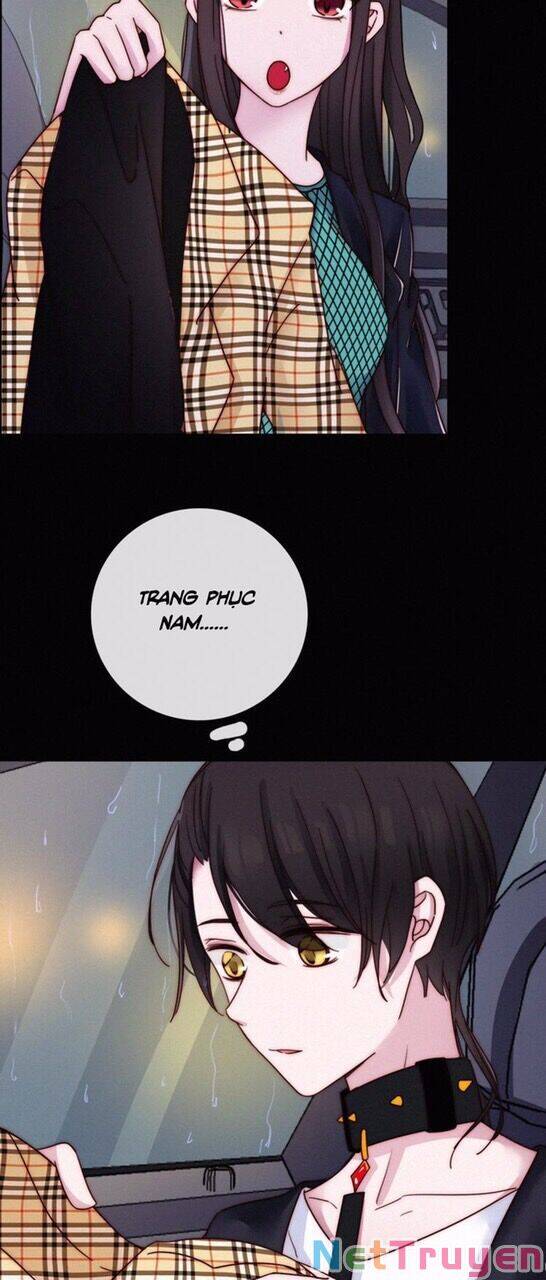 Hắc Dạ Hữu Sở Tư: Chapter 50.1