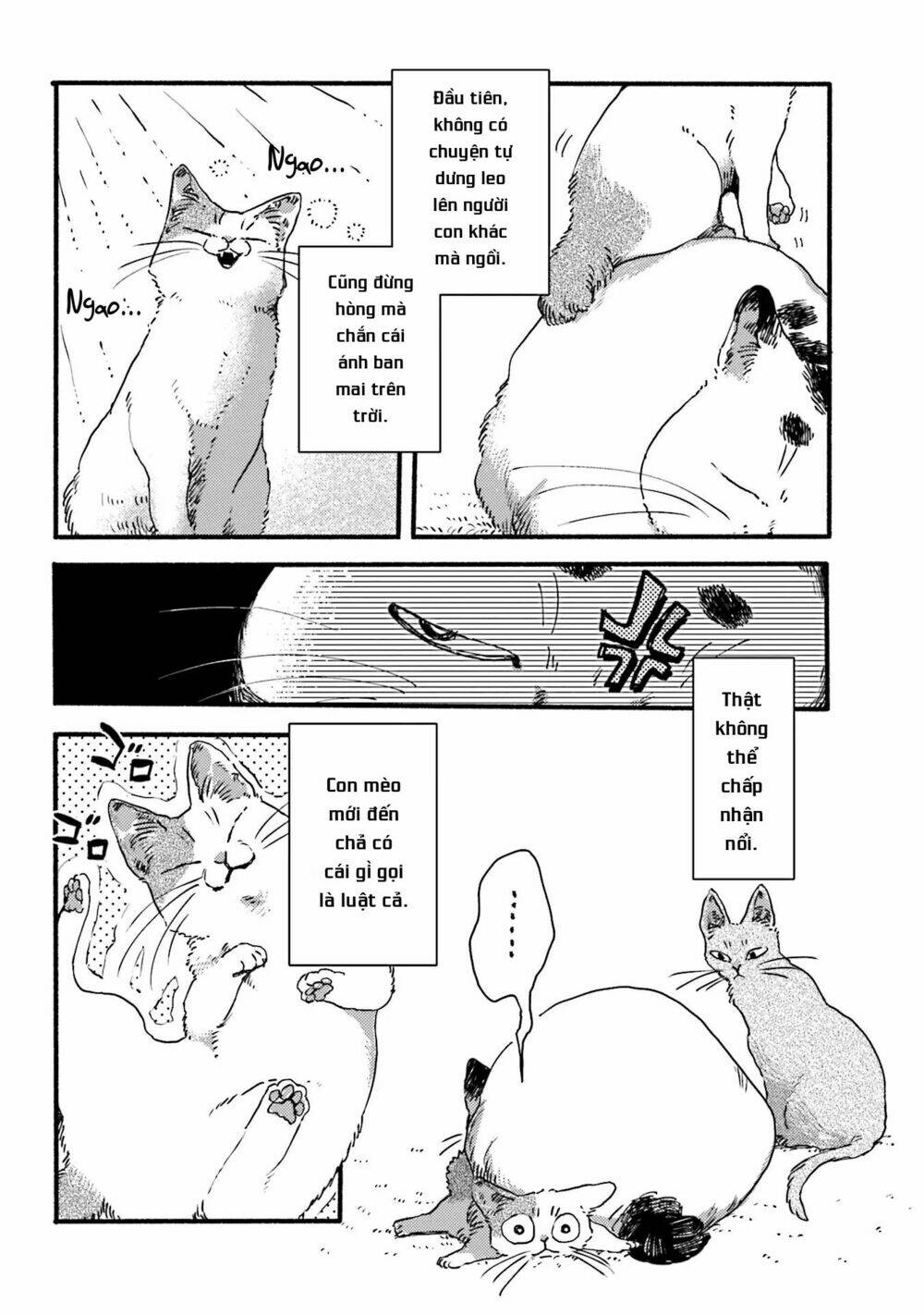 Nekodamari: Chapter 3