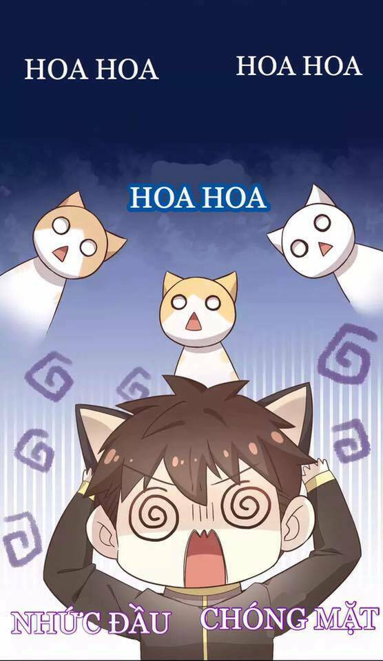 Dưới Móng Vuốt Mèo: Chapter 19