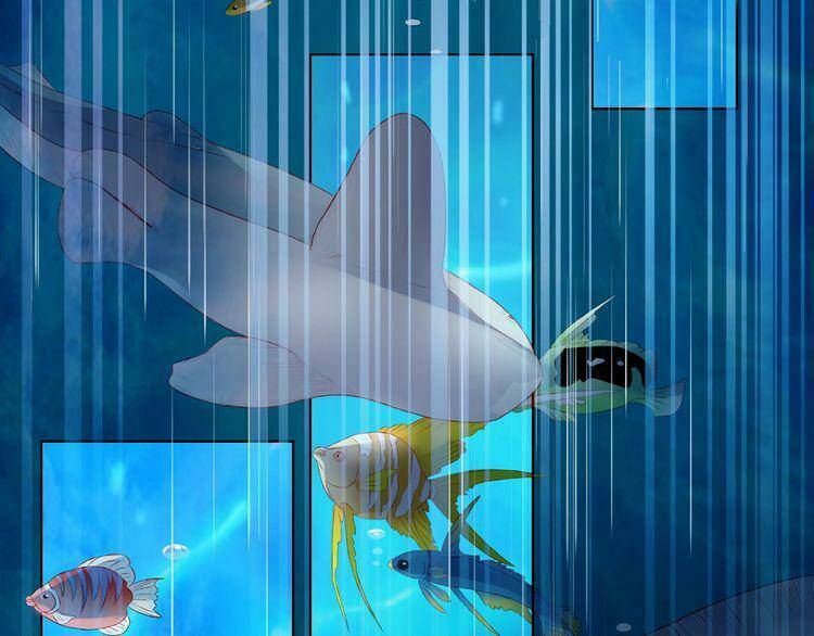 Giai Điệu Của Sự Va Chạm: Chapter 4