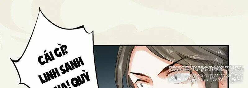 Tuyệt Thế Luyện Đan Sư: Chapter 9