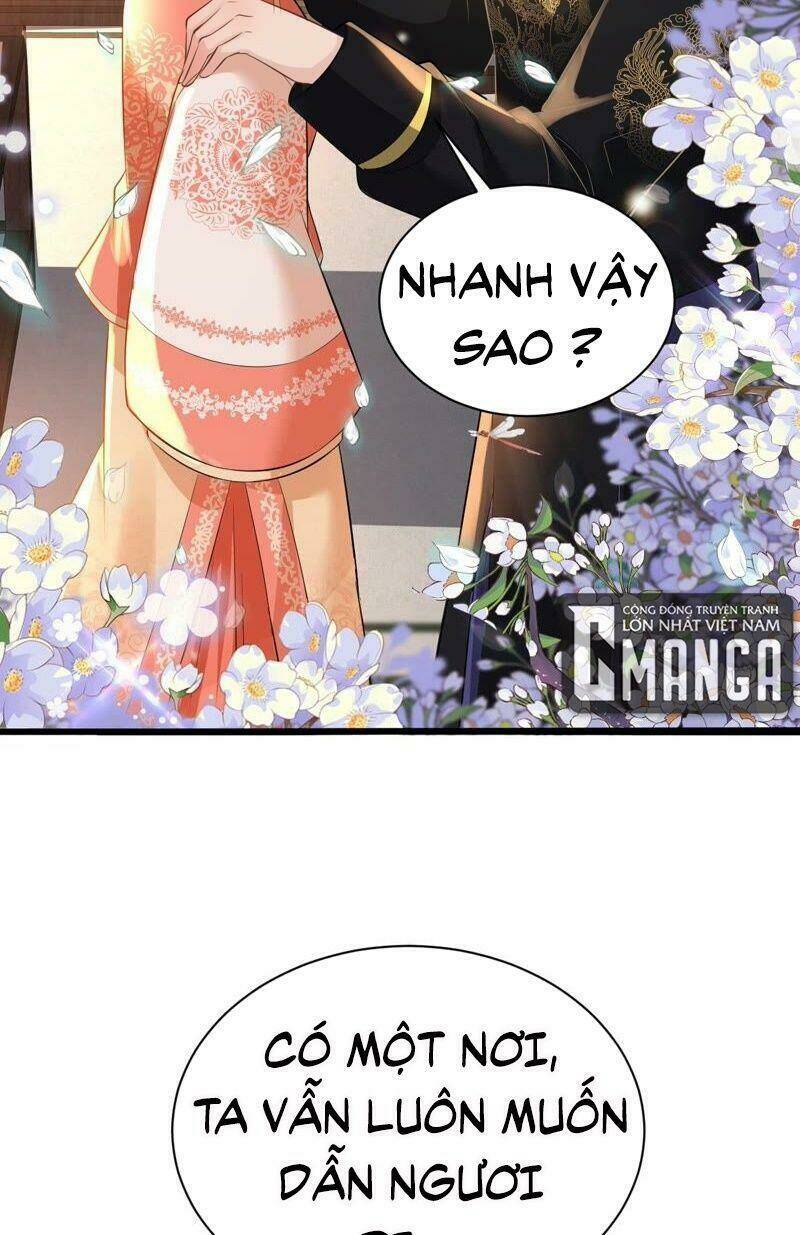 Quận Chúa Vững Vàng, Thiết Lập Nhân Vật Không Thể Vỡ: Chapter 61