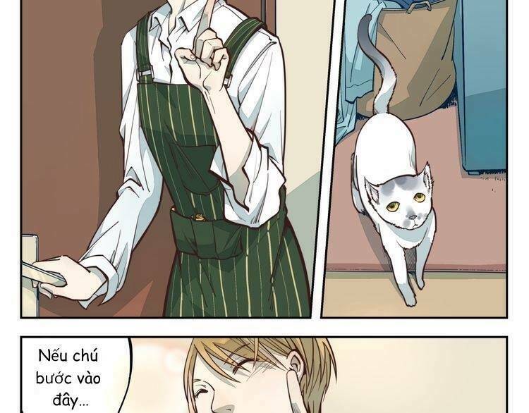 Thời Khắc Ấy, Chúng Ta Gặp Nhau: Chapter 5