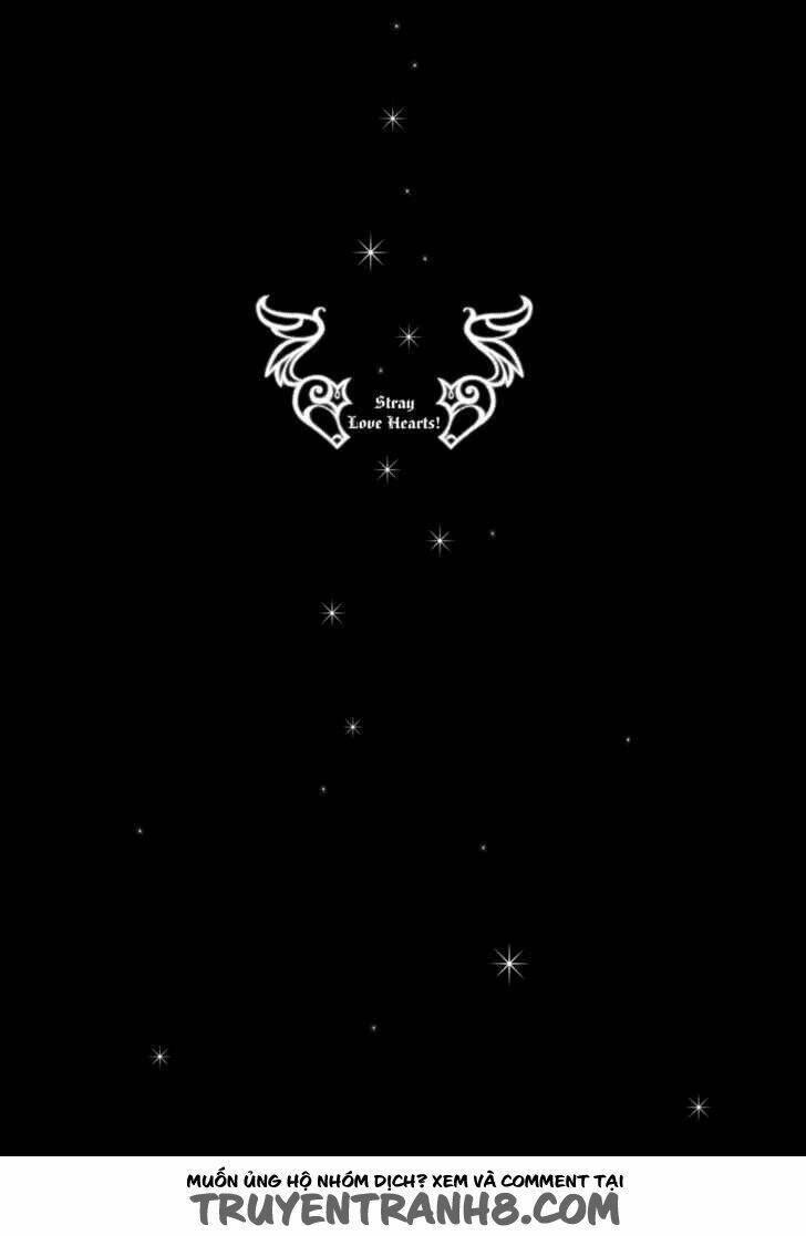 S.L.H (Stray Love Hearts): Chapter 13