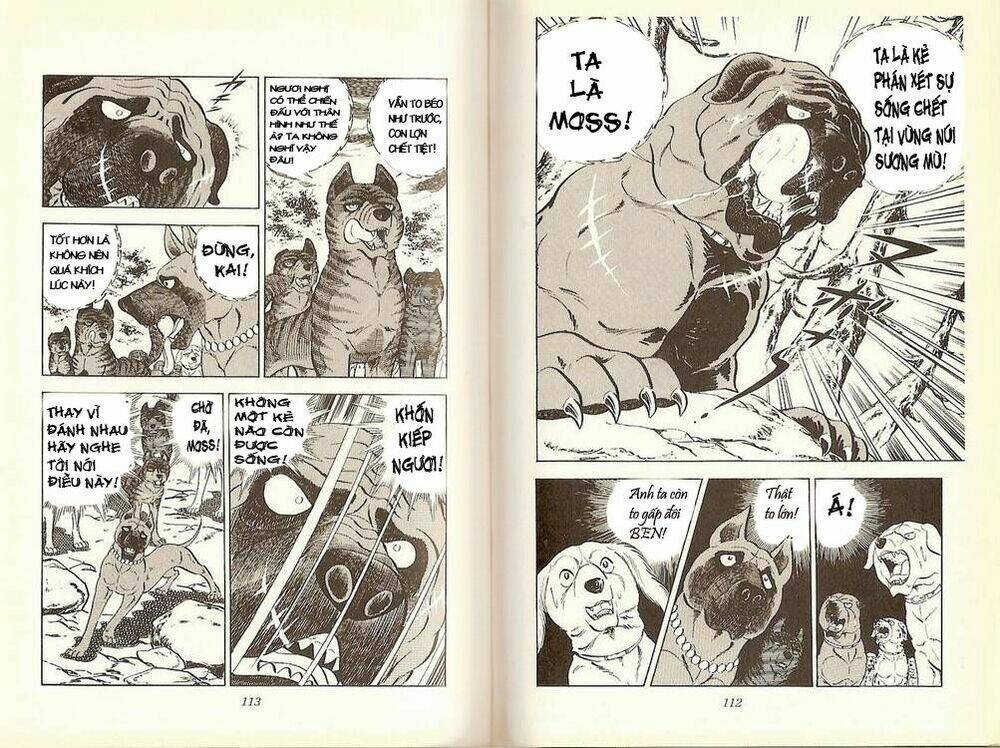 Chú Chó Có Nghĩa - Ginga Nagareboshi Gin: Chapter 16