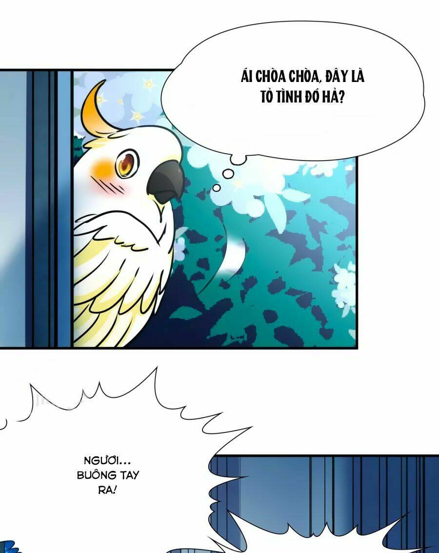 Huyền Vũ Luyến Ca: Vạn Vật Sinh Linh: Chapter 33.1