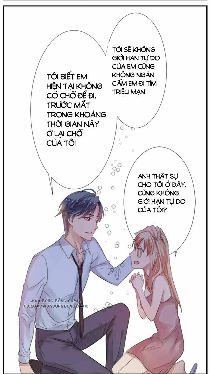 Nhập Cốt Noãn Hôn - Mật Sủng Tiểu Kiều Thê: Chapter 2