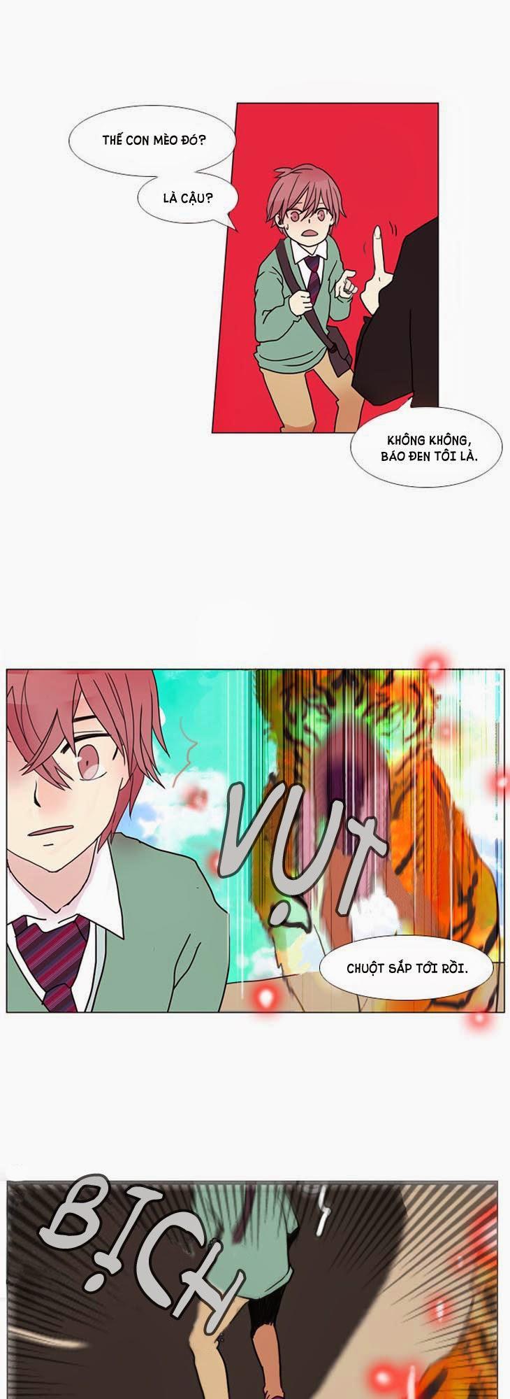 Flow: Chapter 7