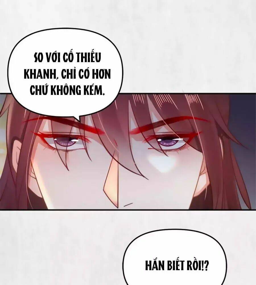 Hoạn Phi Hoàn Triều: Chapter 41