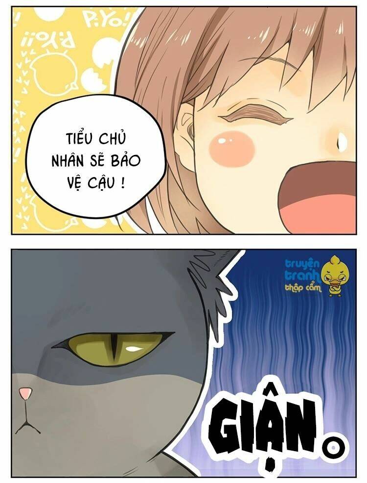Cứu Mạng! Loài Mèo Thống Trị Thế Giới Rồi!: Chapter 25