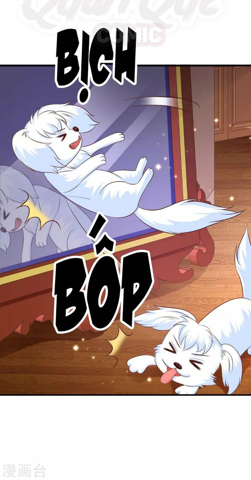 Tối Cường Vận Đào Hoa: Chapter 81