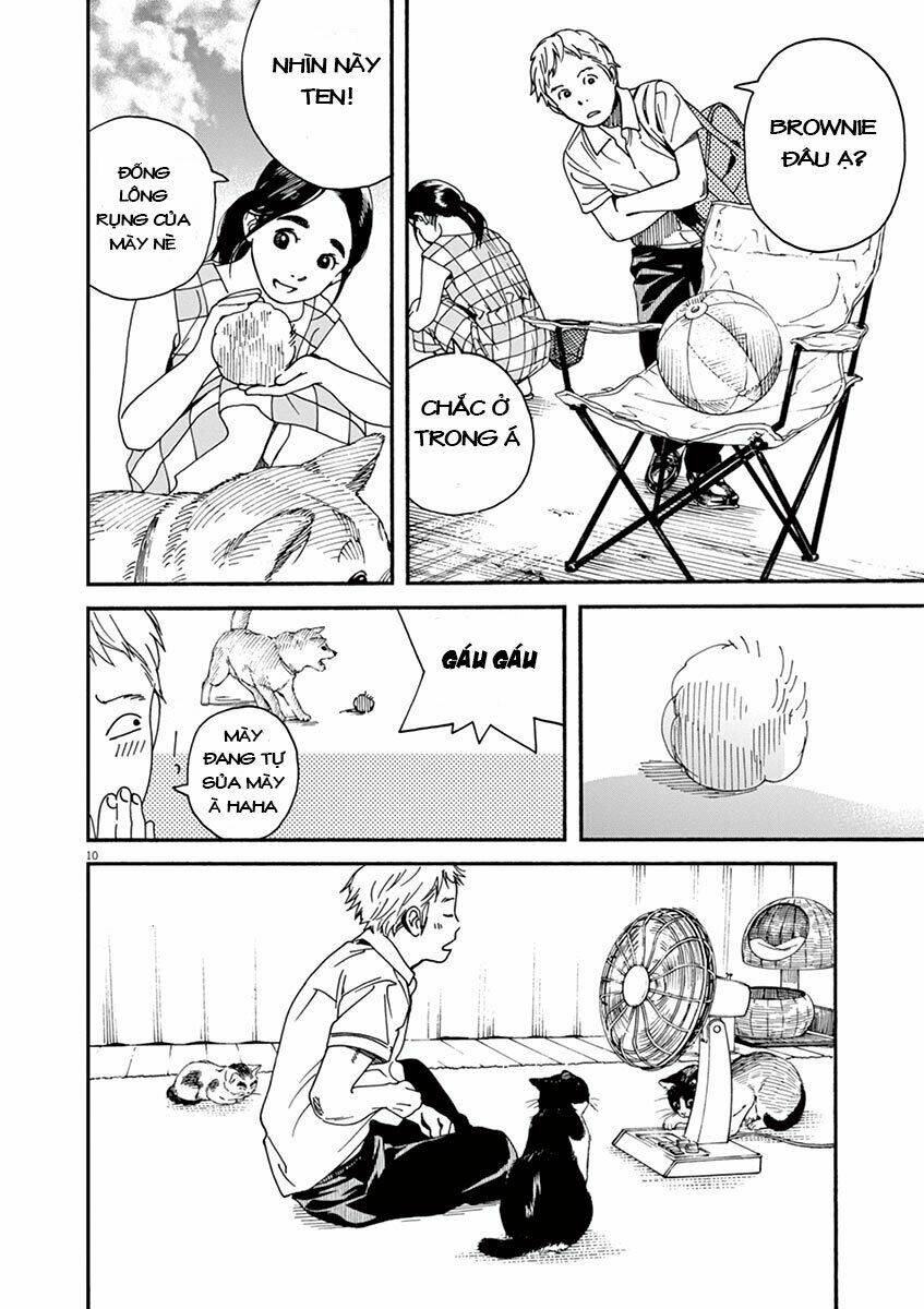 Neko No Otera No Chion-San: Chapter 29