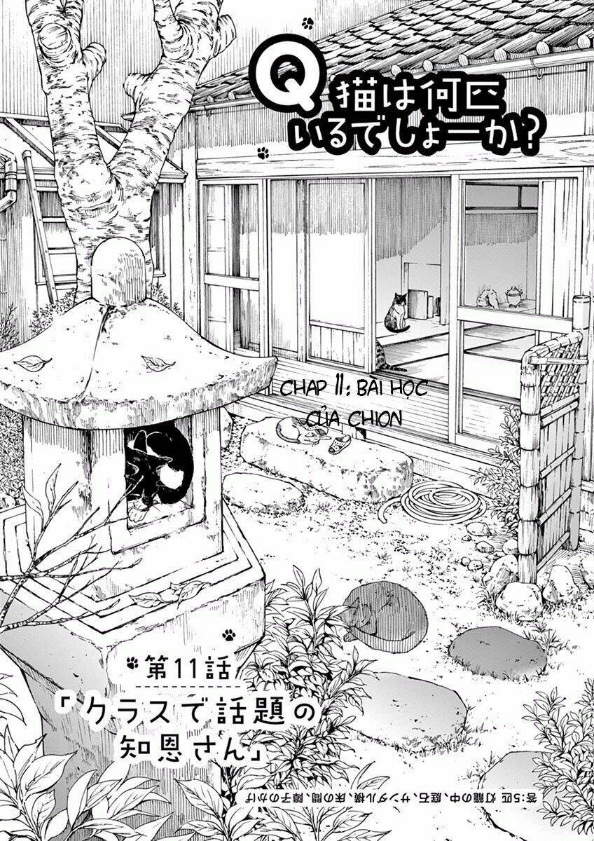 Neko No Otera No Chion-San: Chapter 11