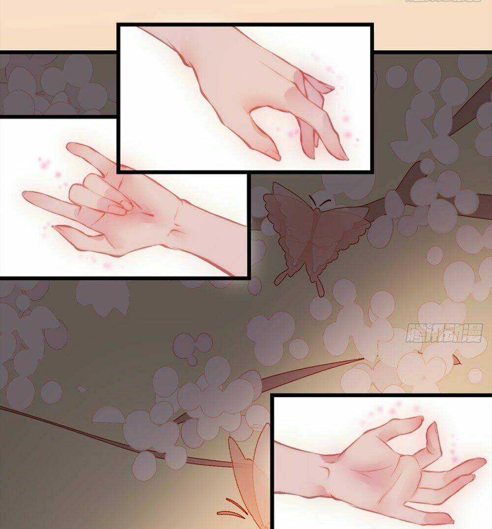 Trẫm Quyết Định Giải Tán Hậu Cung: Chapter 6