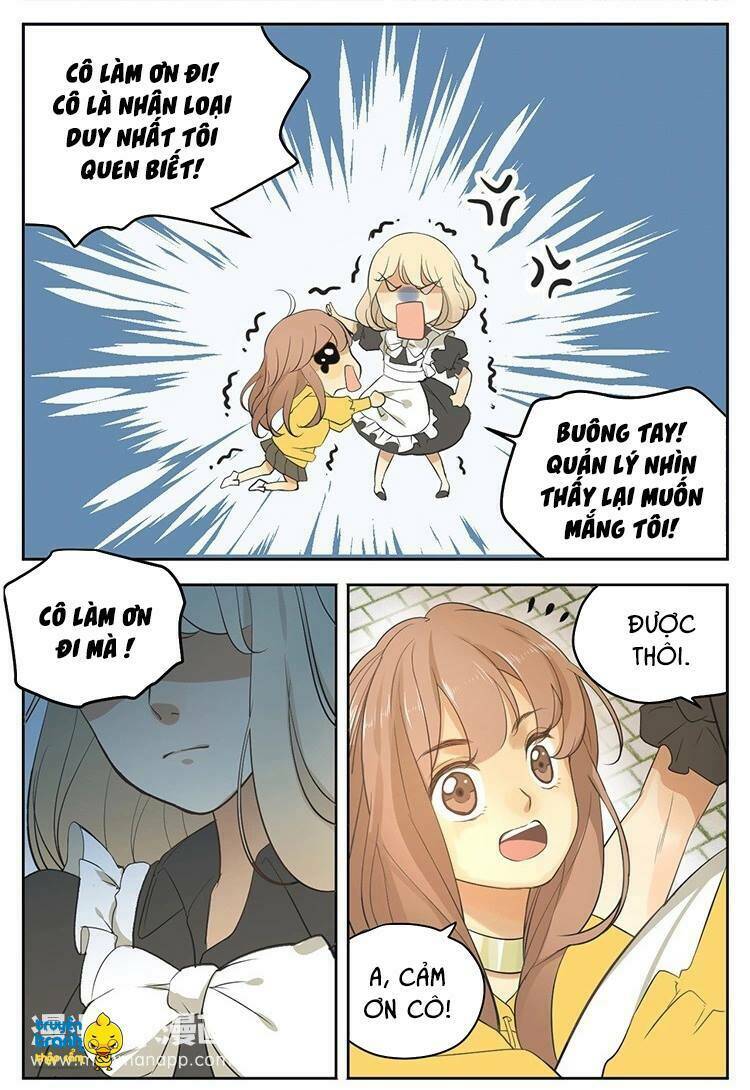 Cứu Mạng! Loài Mèo Thống Trị Thế Giới Rồi!: Chapter 17