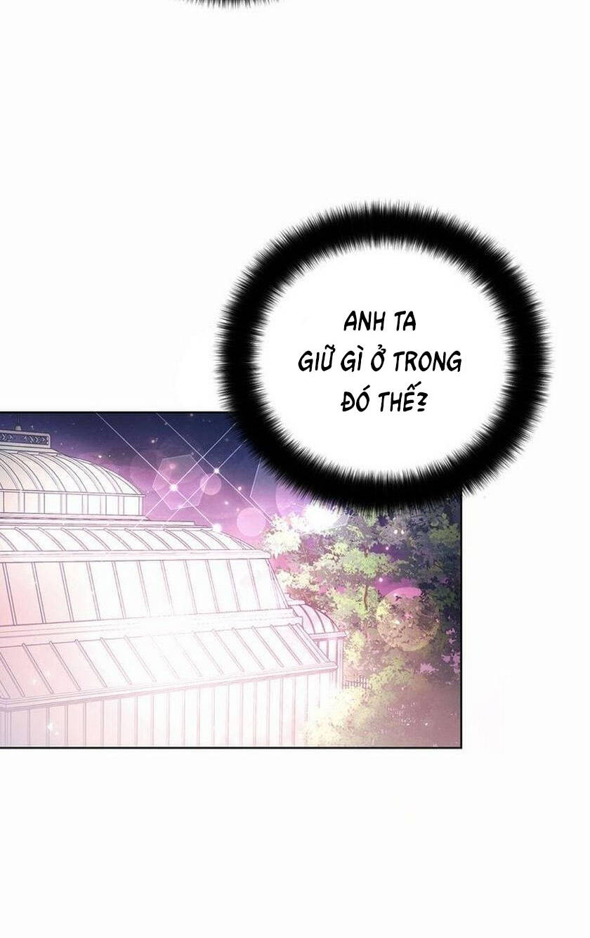 Nàng Dâu Bí Ẩn Của Bạch Sư Tử: Chapter 4