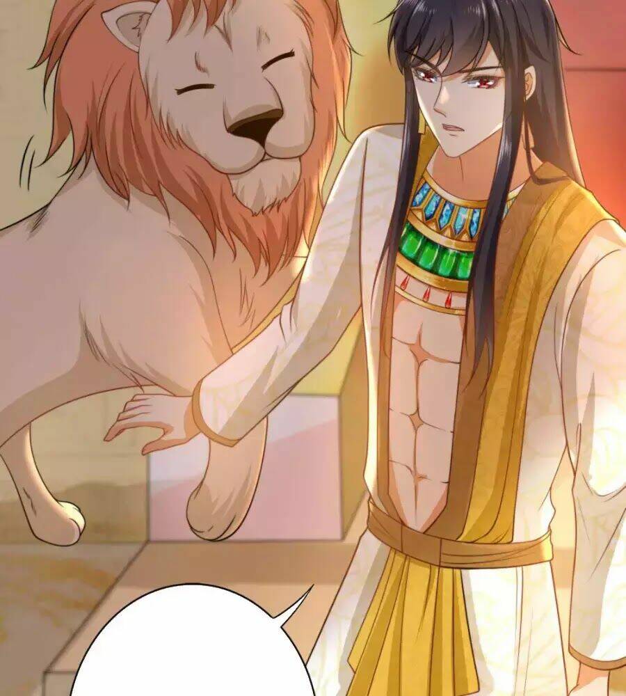 Sủng Hậu Của Vương: Chapter 22