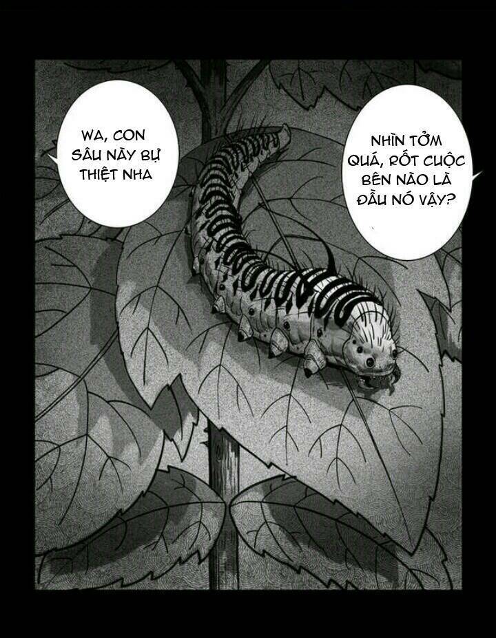 Những Câu Chuyện Kinh Dị Ở Trường Trung Học Tây Lăng: Chapter 2