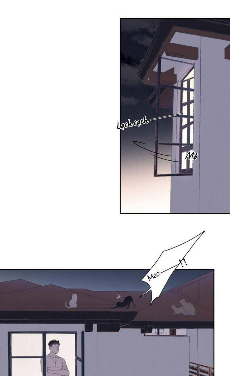 Trong Bóng Tối: Chapter 1.4