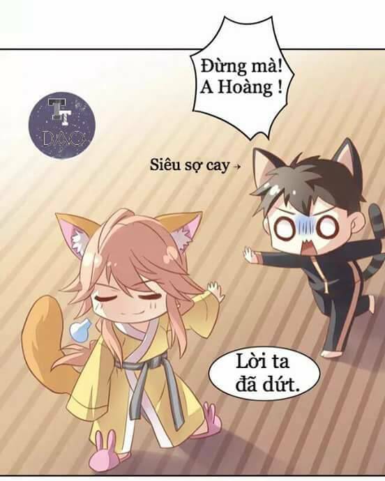 Dưới Móng Vuốt Mèo: Chapter 6