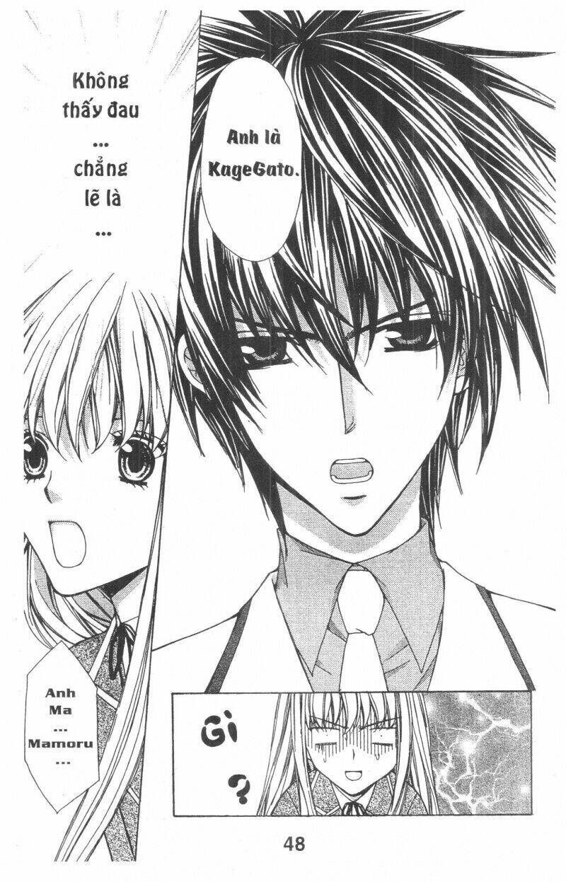 Trái Tim Kim Cương: Chapter 1