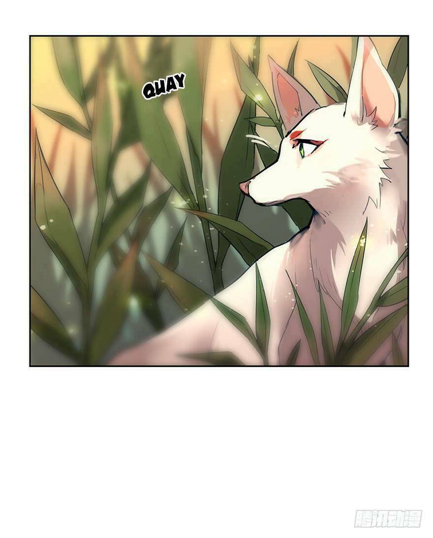 Phụng Quy: Chapter 1