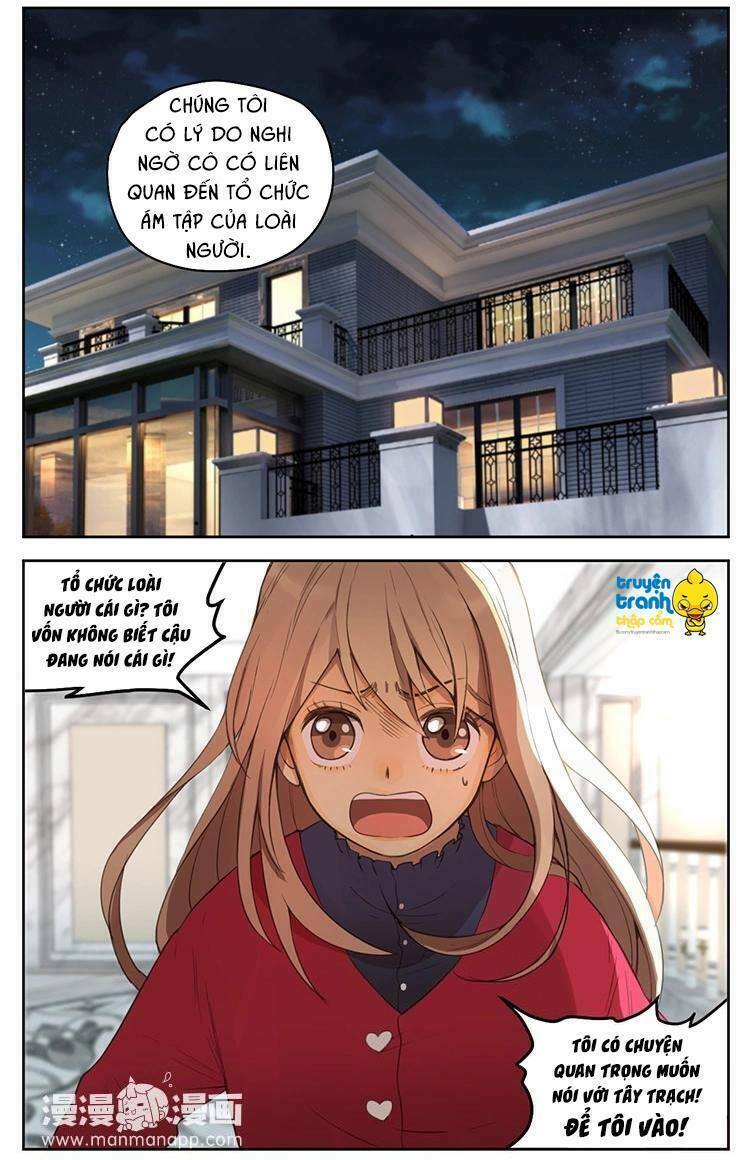 Cứu mạng ! Loài mèo thống trị thế giới rồi !: Chapter 30