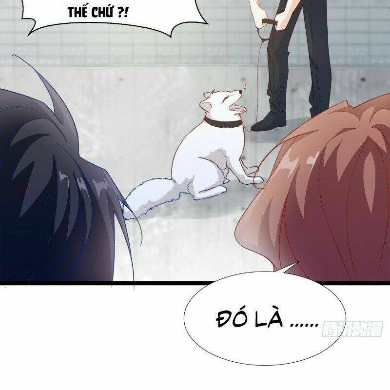 Ảnh Đế Yêu Hồ: Chapter 29