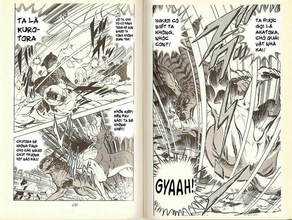 Chú Chó Có Nghĩa - Ginga Nagareboshi Gin: Chapter 16