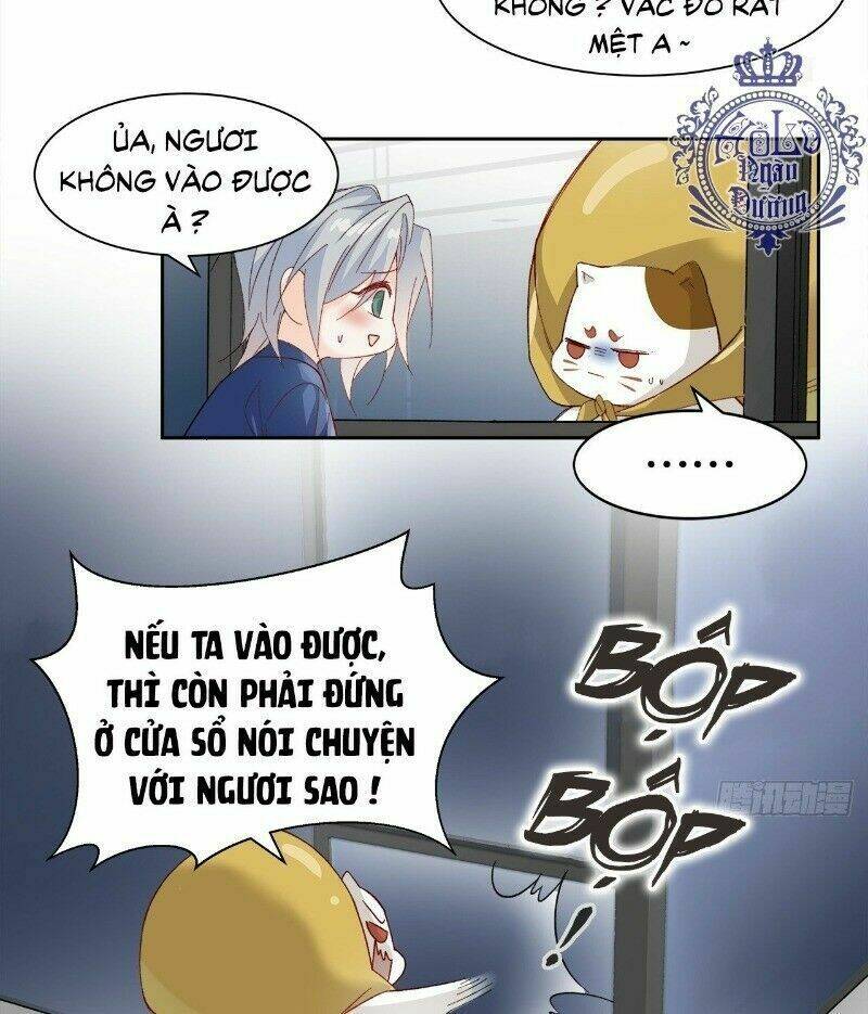 Ảnh Đế Yêu Hồ: Chapter 39