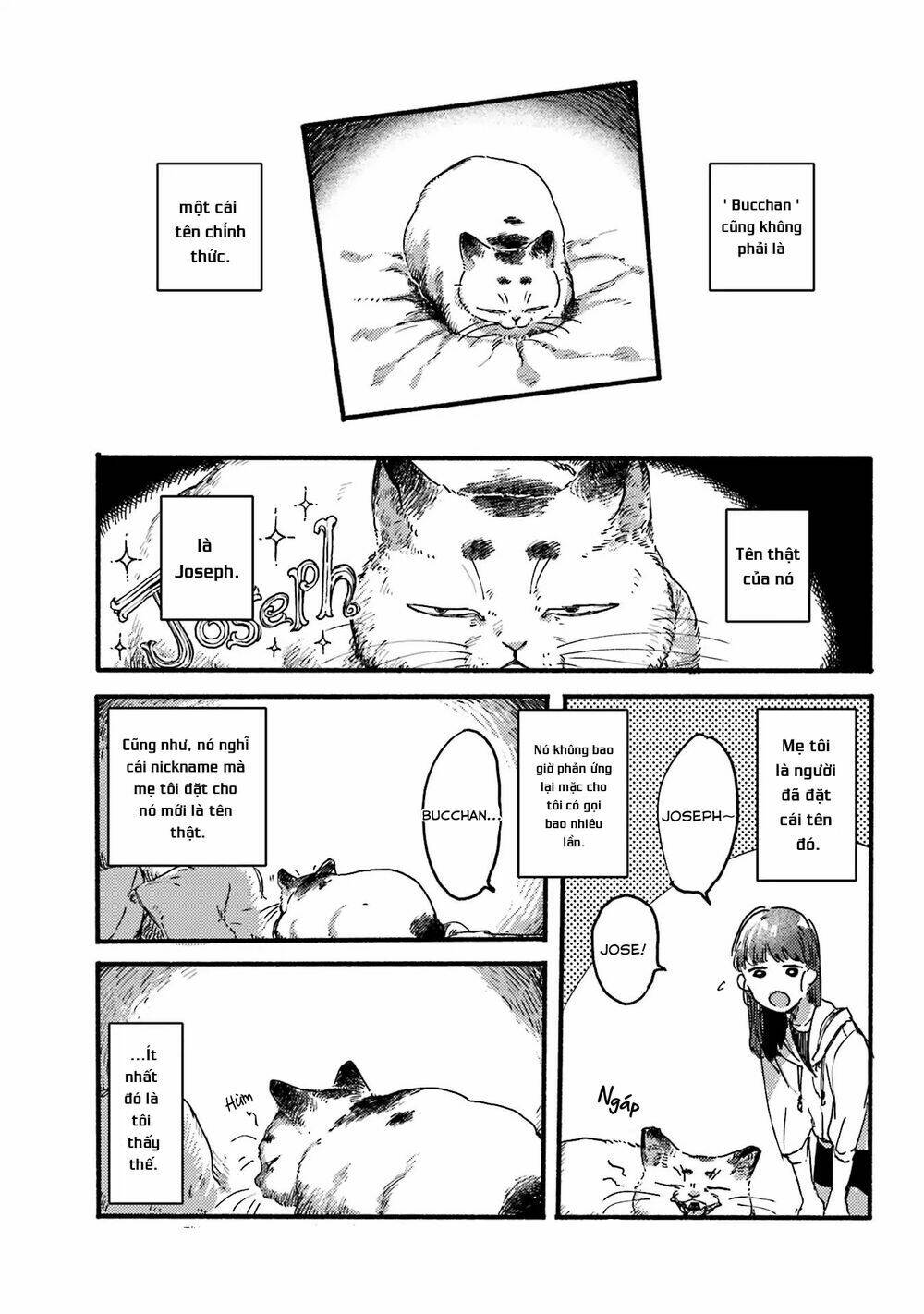 Nekodamari: Chapter 9