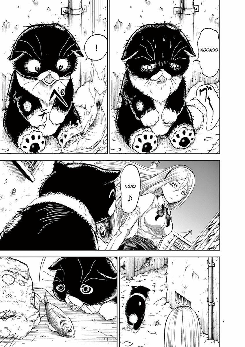 Nữ Vương Của Máu Và Tro: Chapter 0