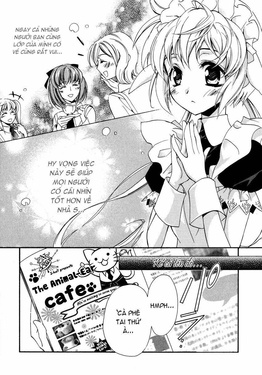 S.L.H (Stray Love Hearts): Chapter 4