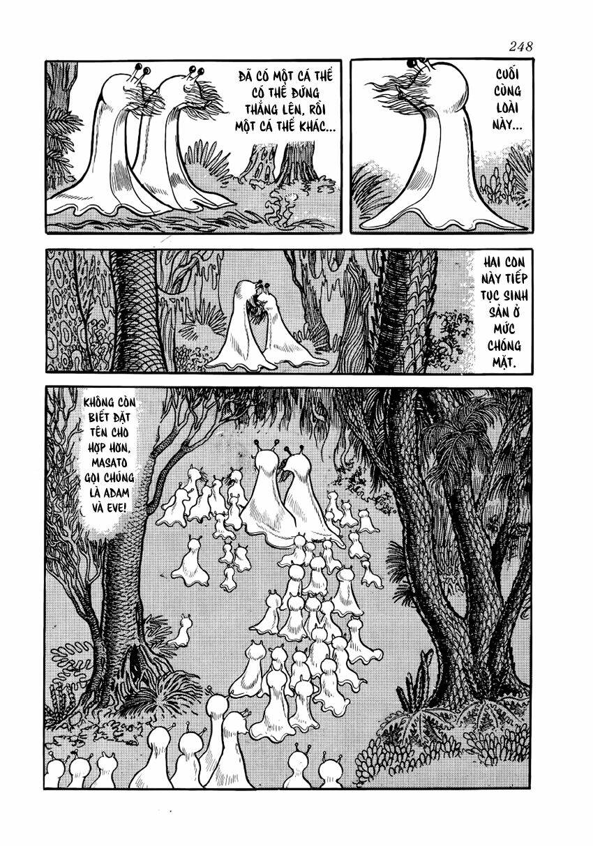 Chim Lửa: Chapter 28