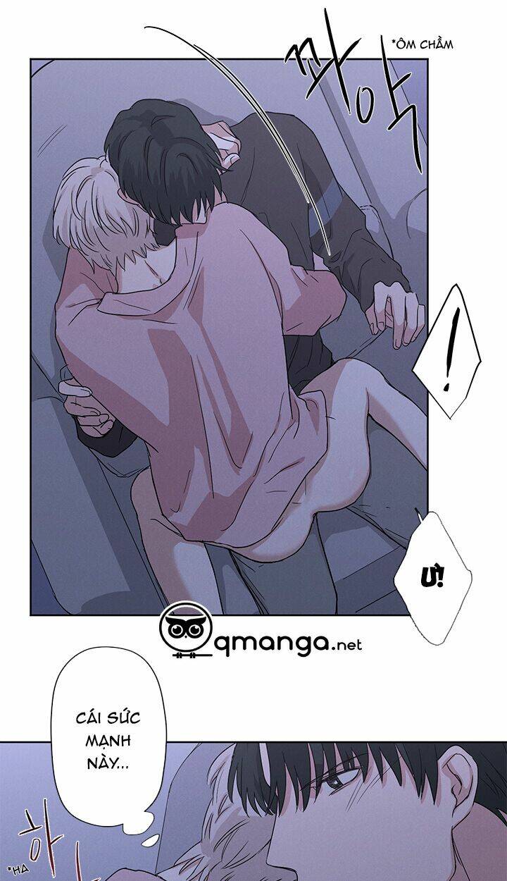 Trốn Tìm: Chapter 8