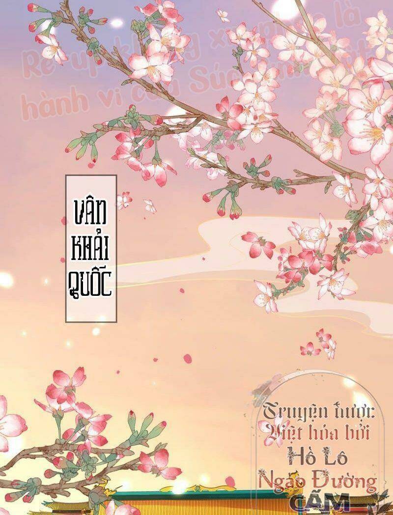 Quận Chúa Vững Vàng, Thiết Lập Nhân Vật Không Thể Vỡ: Chapter 1