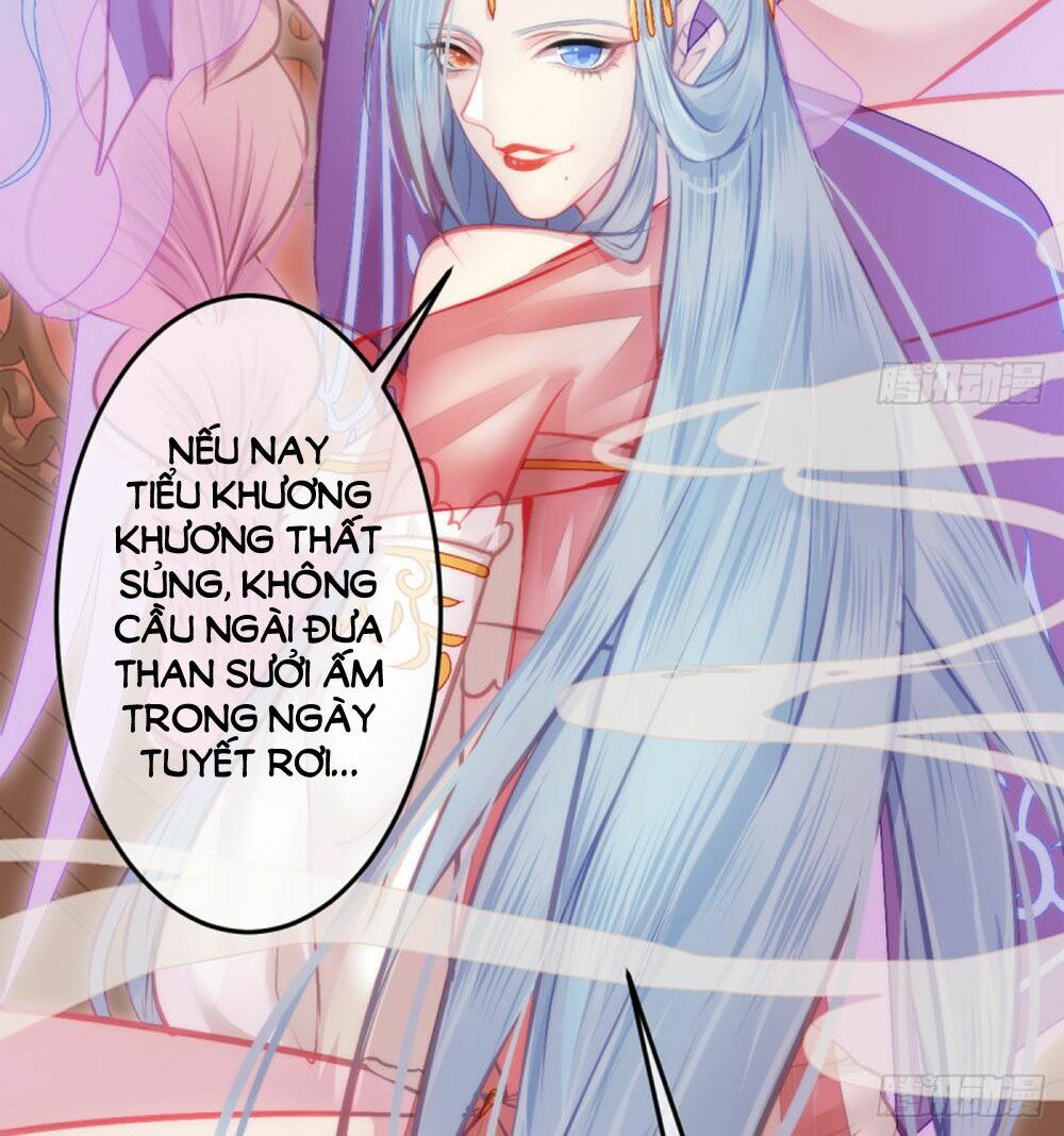 Trẫm Quyết Định Giải Tán Hậu Cung: Chapter 4